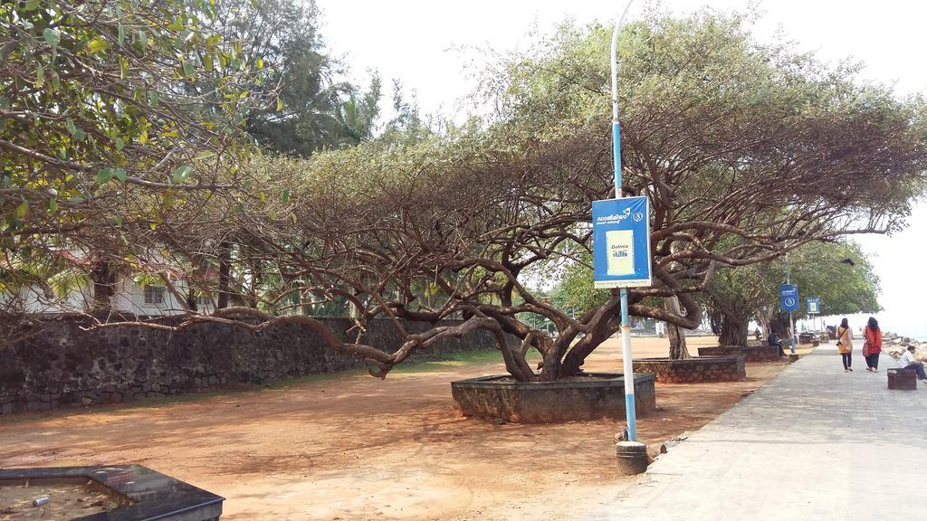 Niya Nest Homestay Kochi Exterior photo